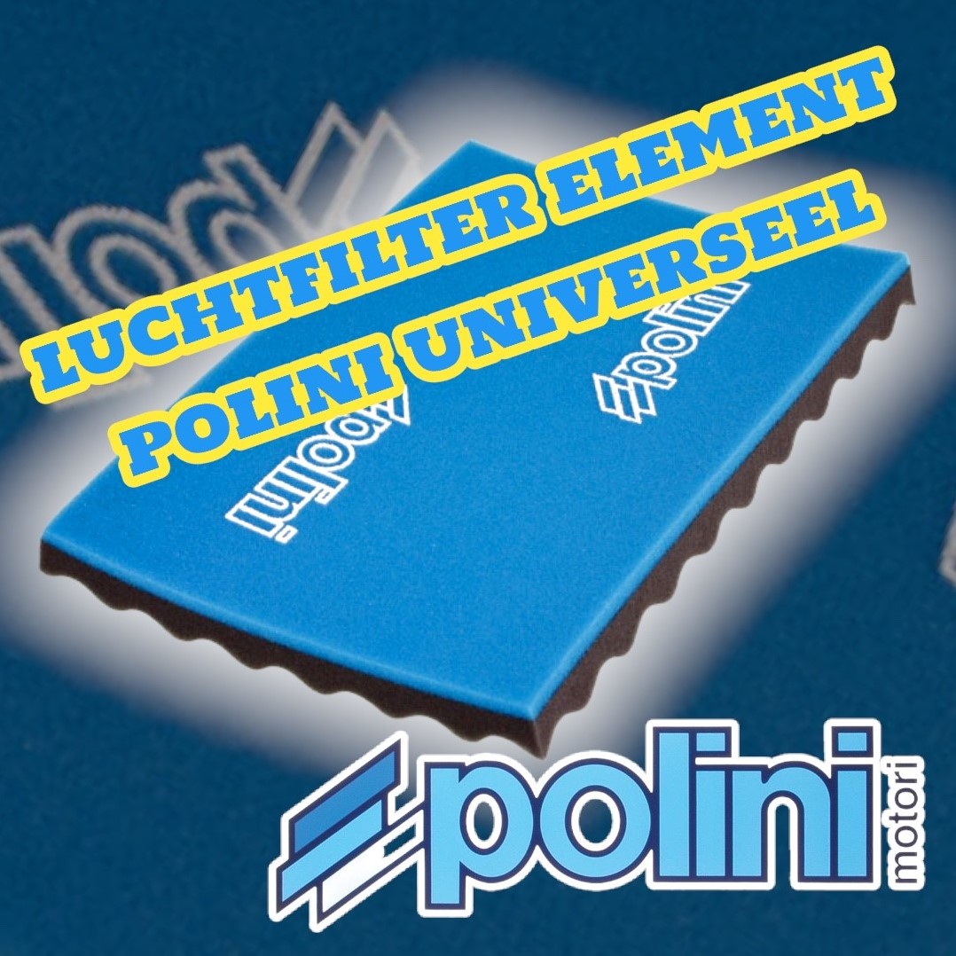 Nauwkeurig Dagelijks Illusie Luchtfilterelement Polini Maat A3 42x29.7cm Universeel Polini 203.0145  Cityparts